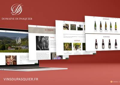 Site web Domaine Dupasquier